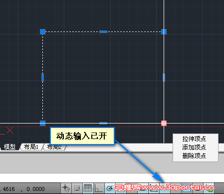 P001.png