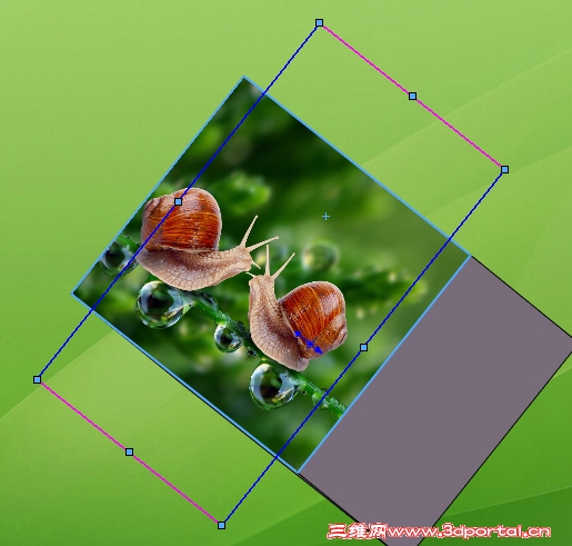 Snap02.jpg