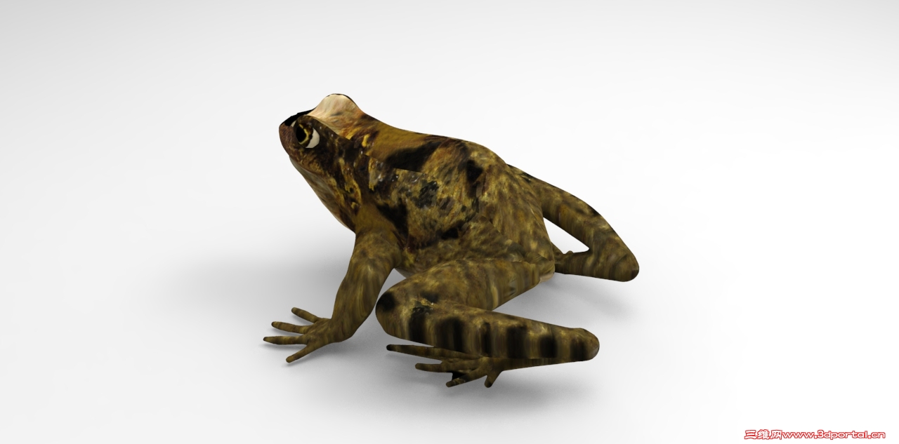 untitled.248.jpg