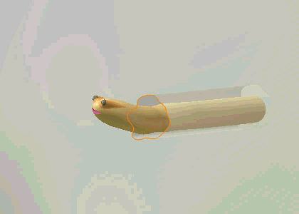 capture-12.gif