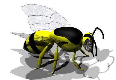 bee.JPG