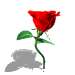 51C76E12CC71E8579CF4B9F5E31CB60C.GIF
