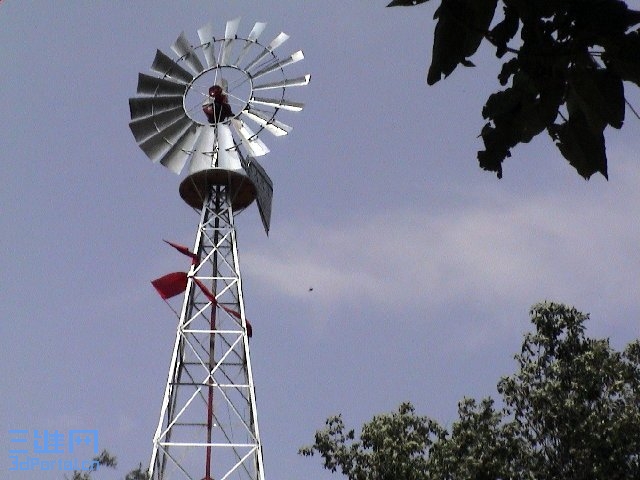 1038_1157861496.jpg