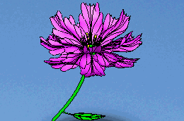 1.gif