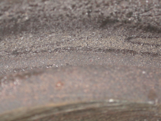 DSCN0447.JPG