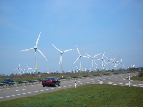 CIMG3530.jpg
