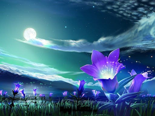 nightstar.png