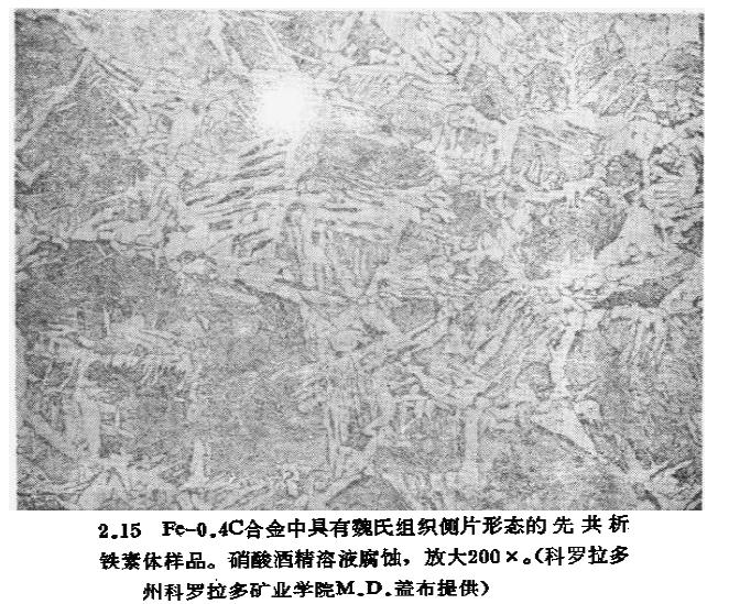 weishi.JPG