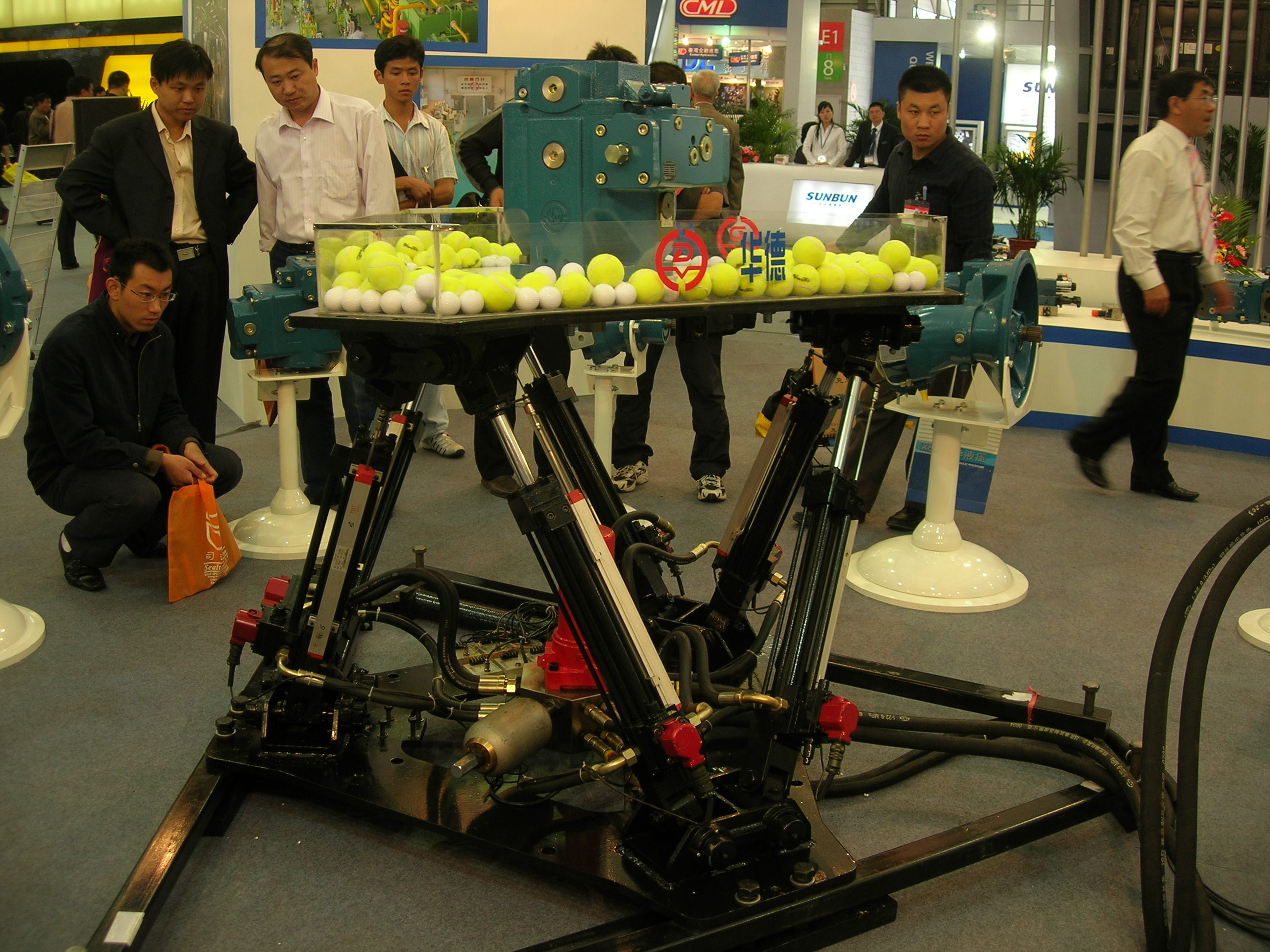 DSCN6554.JPG