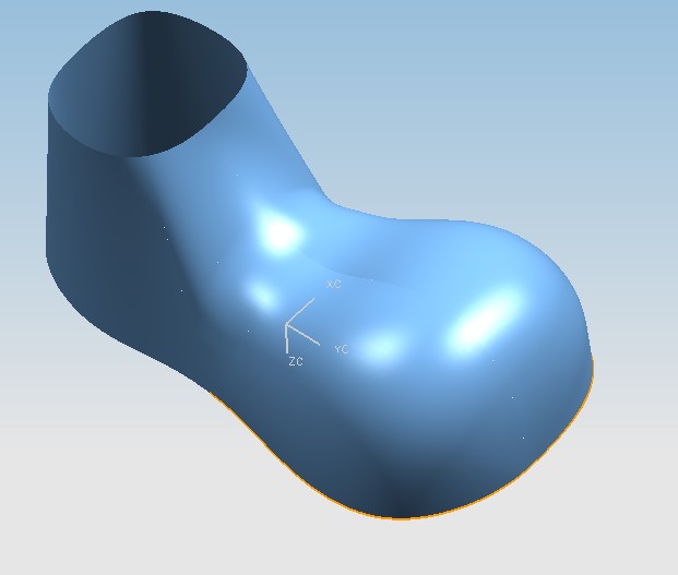 shoe.jpg