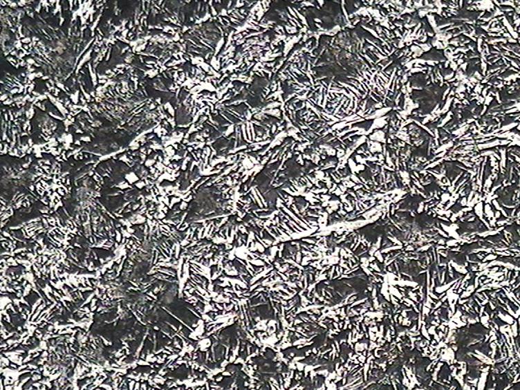 45���� 100X.JPG