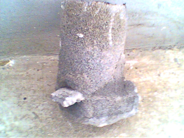 IMG0258A.jpg