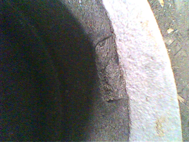 IMG0263A.jpg