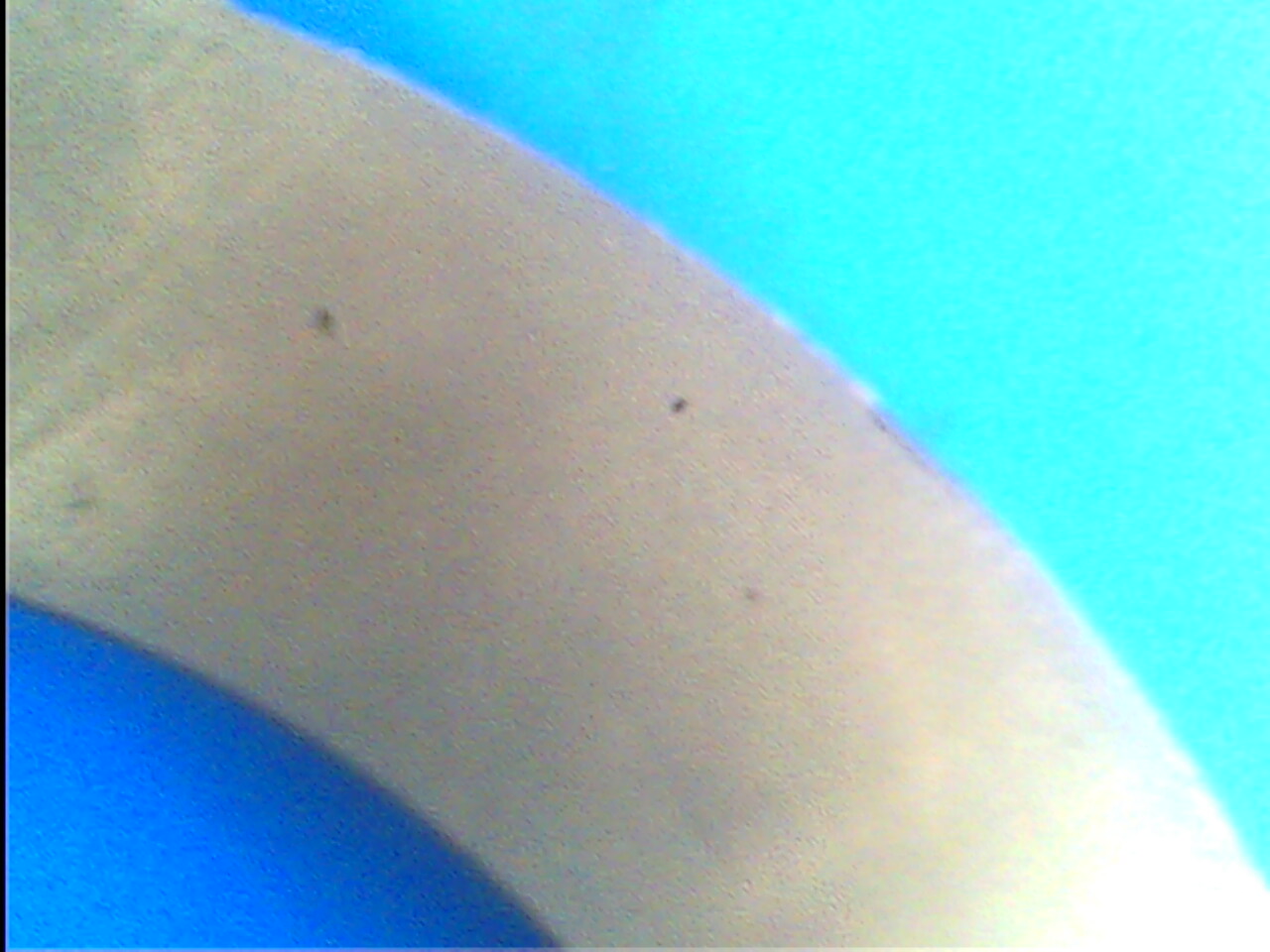 IMG0269A.jpg