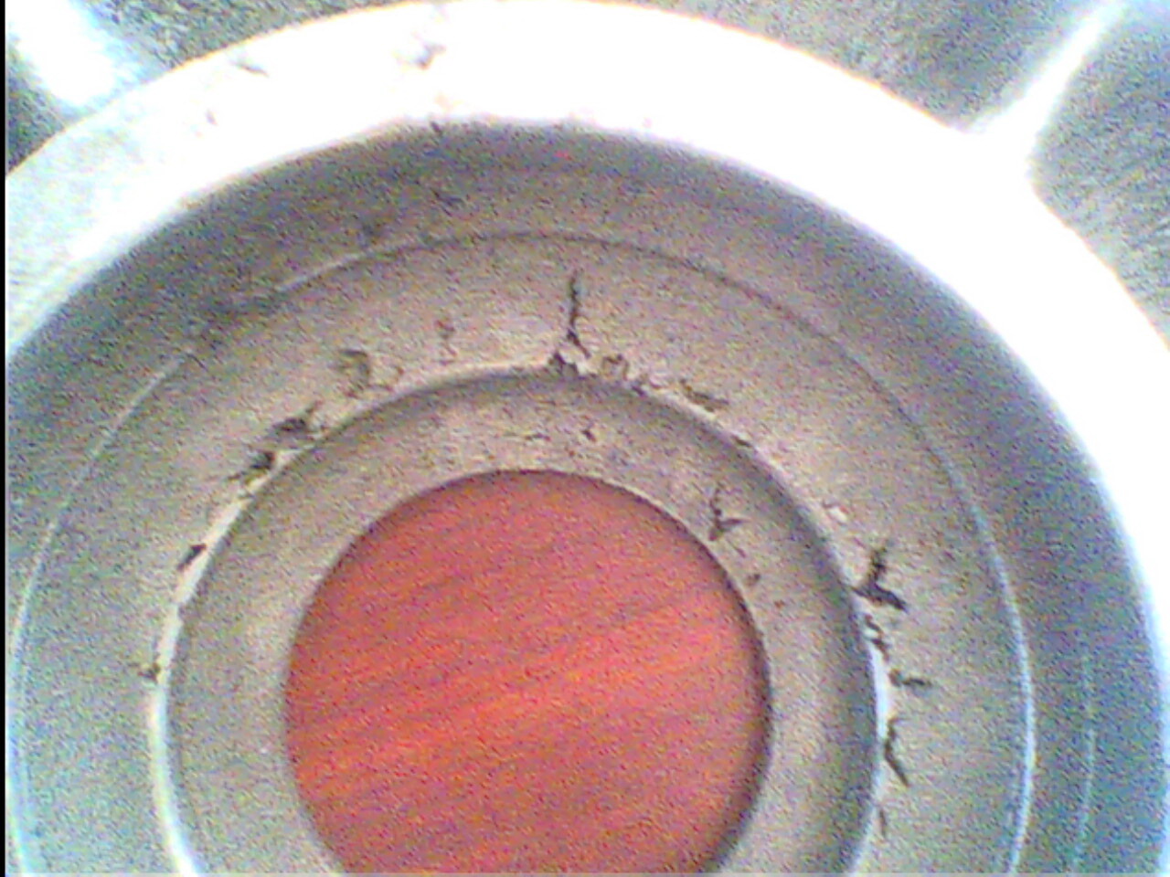 IMG0246A.jpg