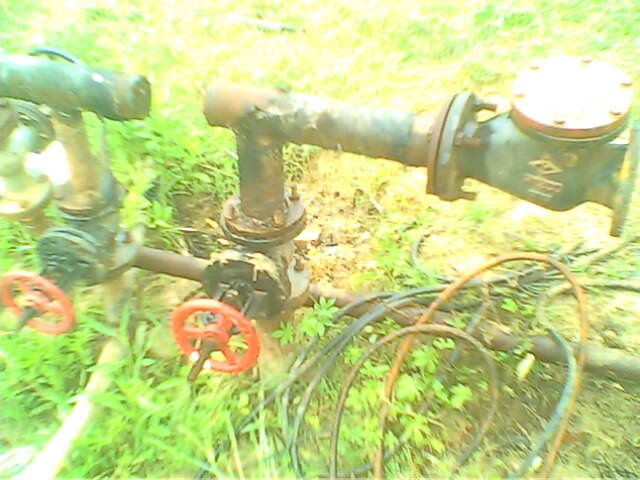 IMG0149A.jpg