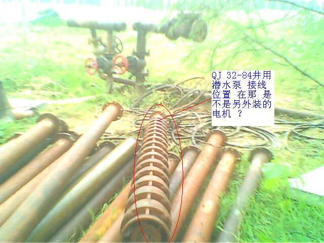 IMG0151A.jpg