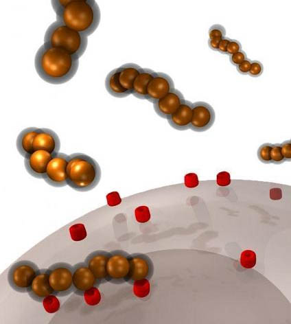 ������ѧ�����ơ�������桱���ӳ������״���ɴݻ�����������ϸ��