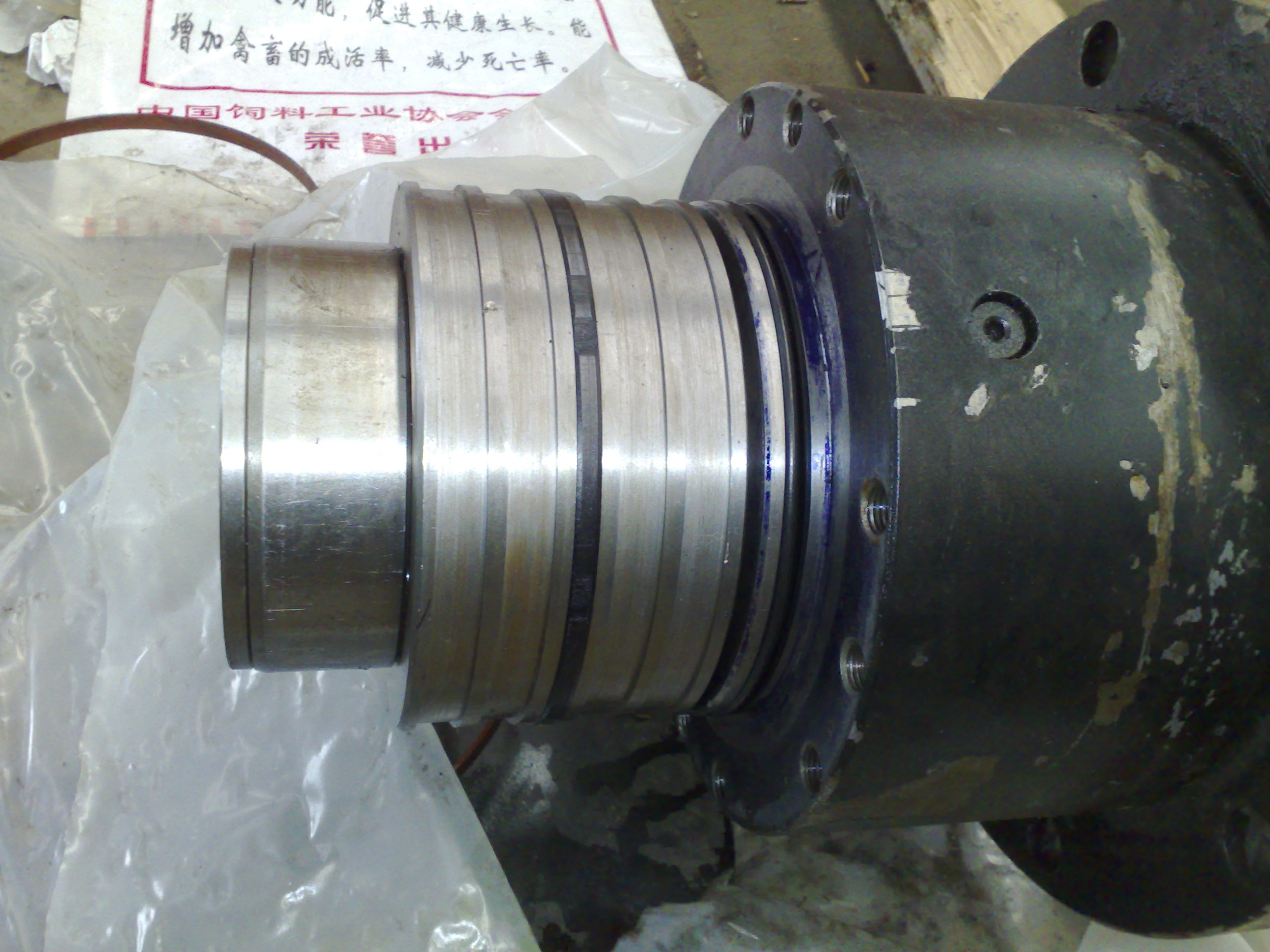 20080329412.jpg