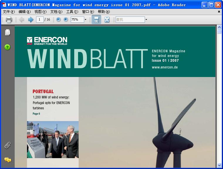 Enercon_Wind_Blatt_0701.JPG