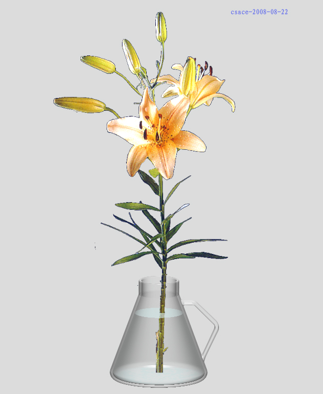 ˮƿ-1.jpg