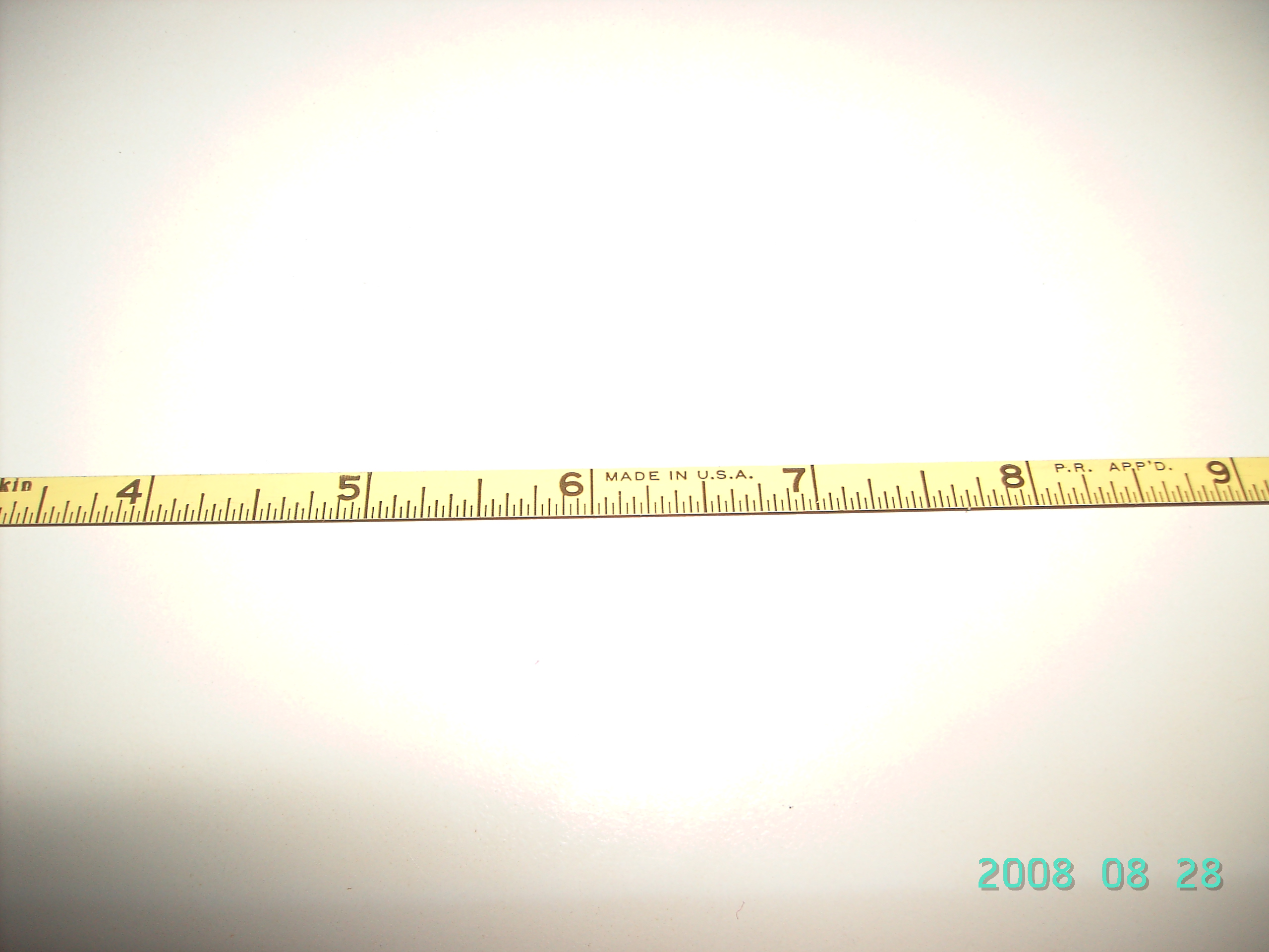 PICT9519.JPG