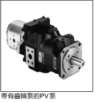 PV/GP˫����ͼƬ