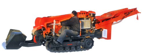 n03.jpg
