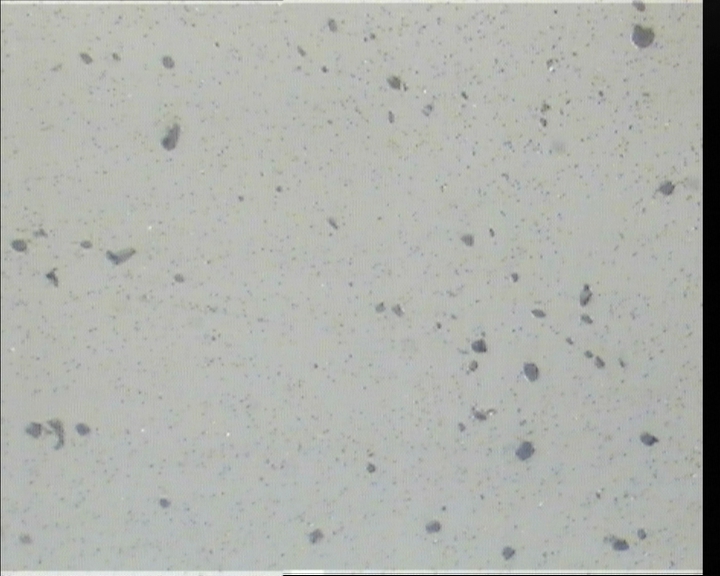 cap04.JPG