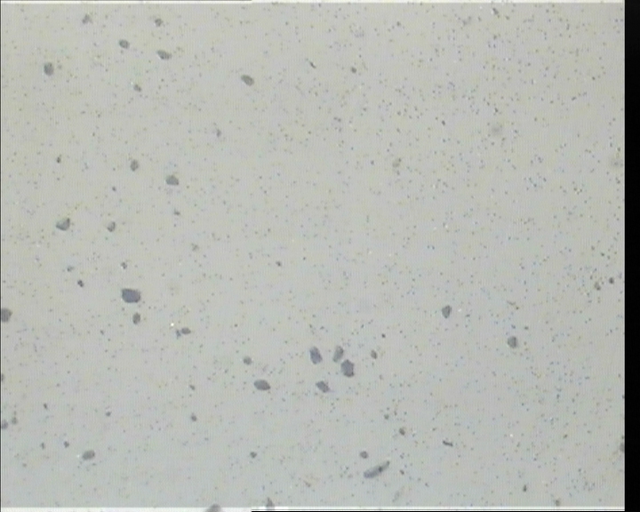 cap08.JPG