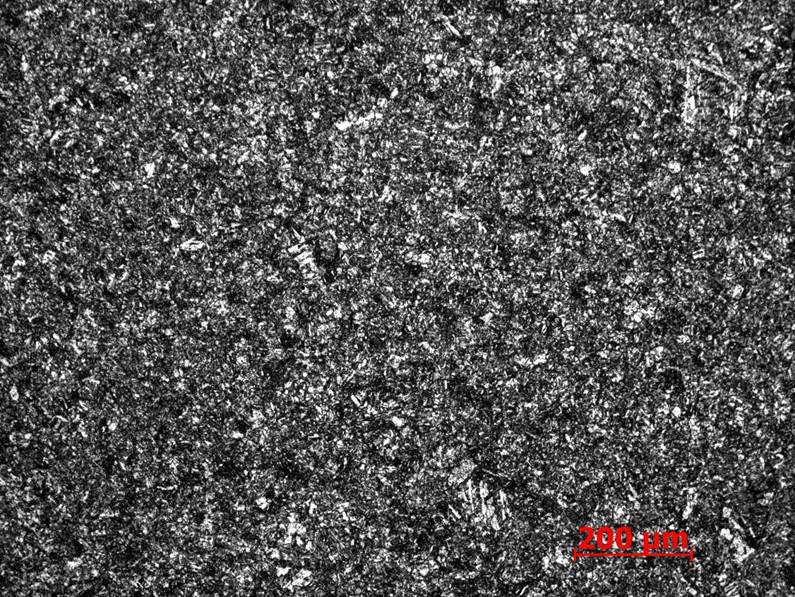 ���� 100�� 2.jpg