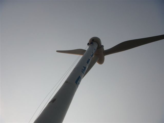 DSCN0804 (2).JPG