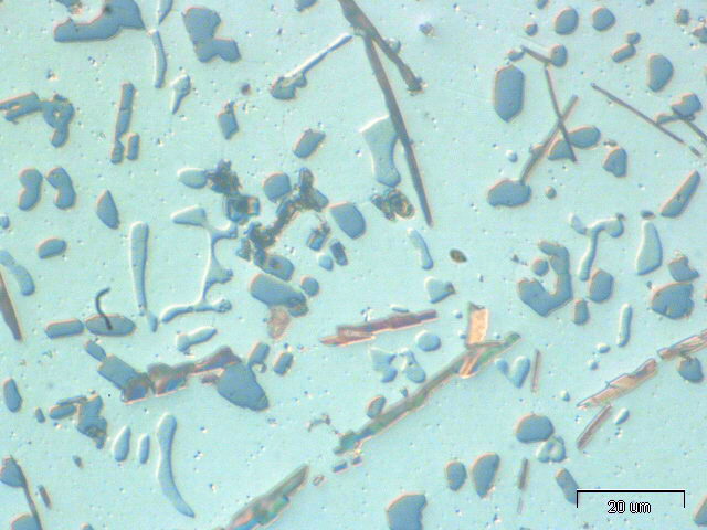 P3 E-(1000X)-DIC �ۼ�.jpg