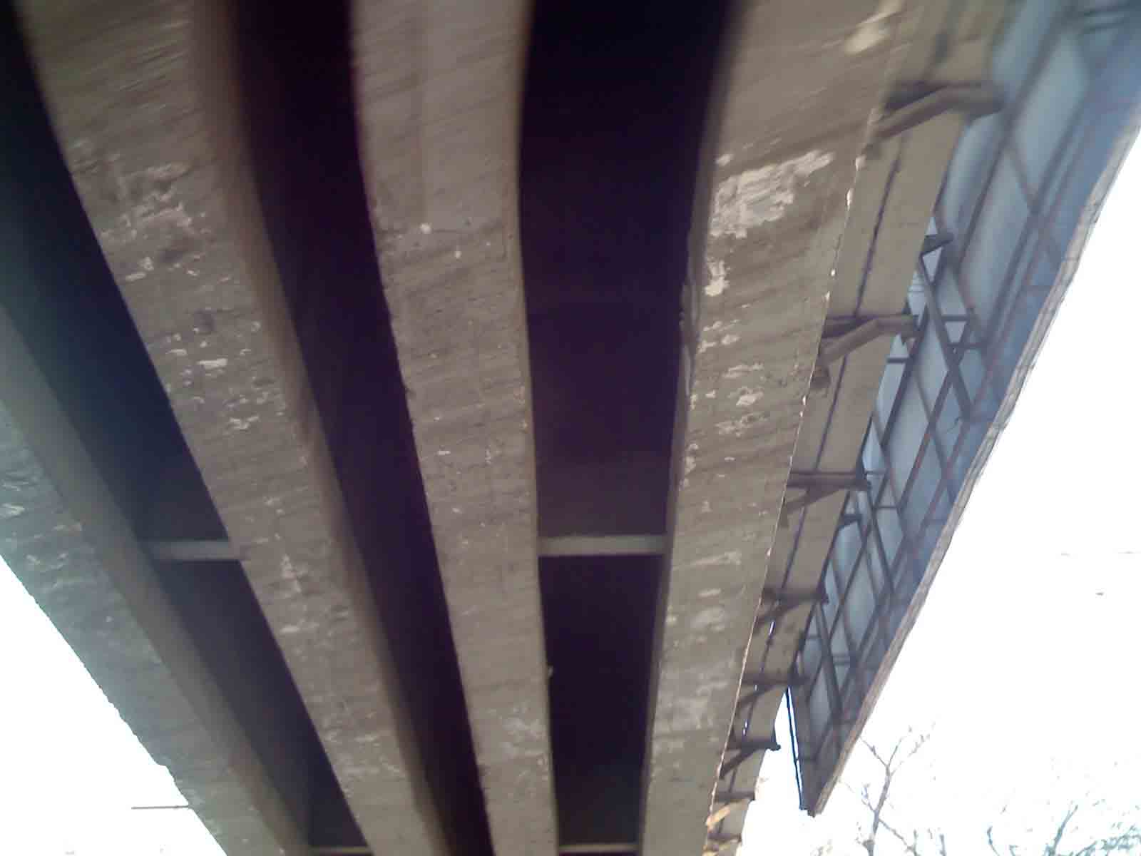 PIC00020.jpg