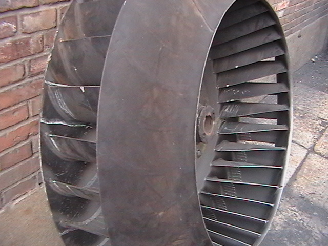 ���Ҷ�ֲ���ͼƬ