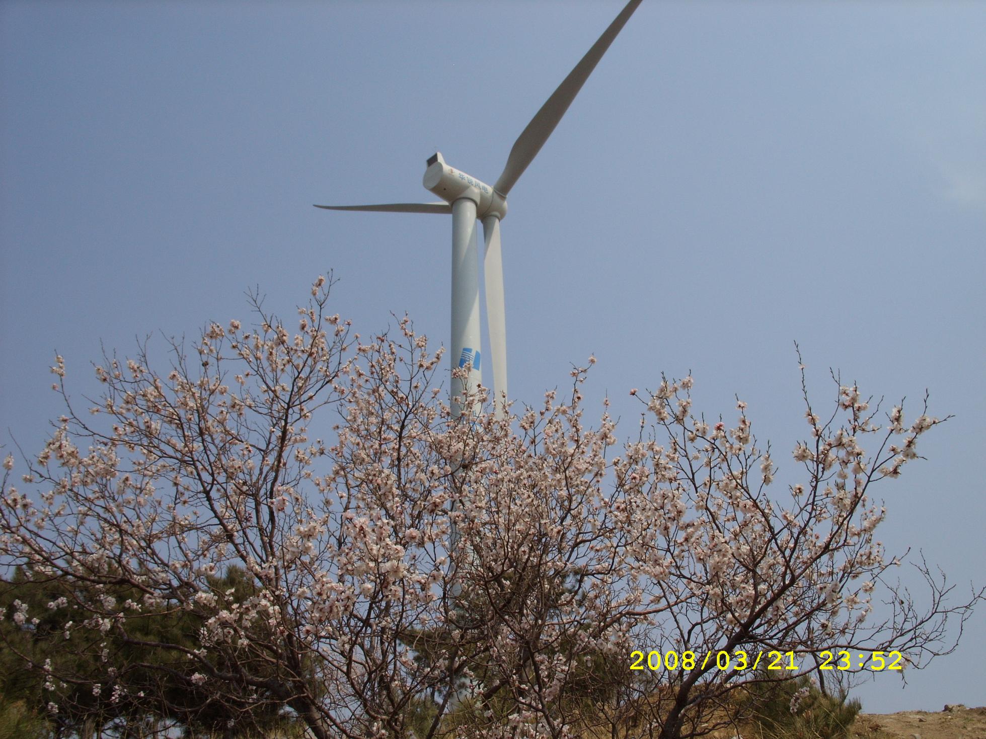 ���� (2).JPG