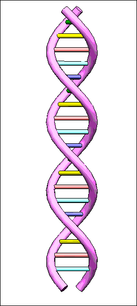 dna.gif
