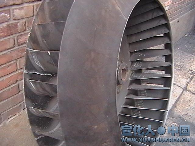 ���Ҷ�������������Ҷ�֣��������������Ҷ�֣�