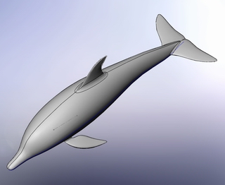 dolphin.jpg