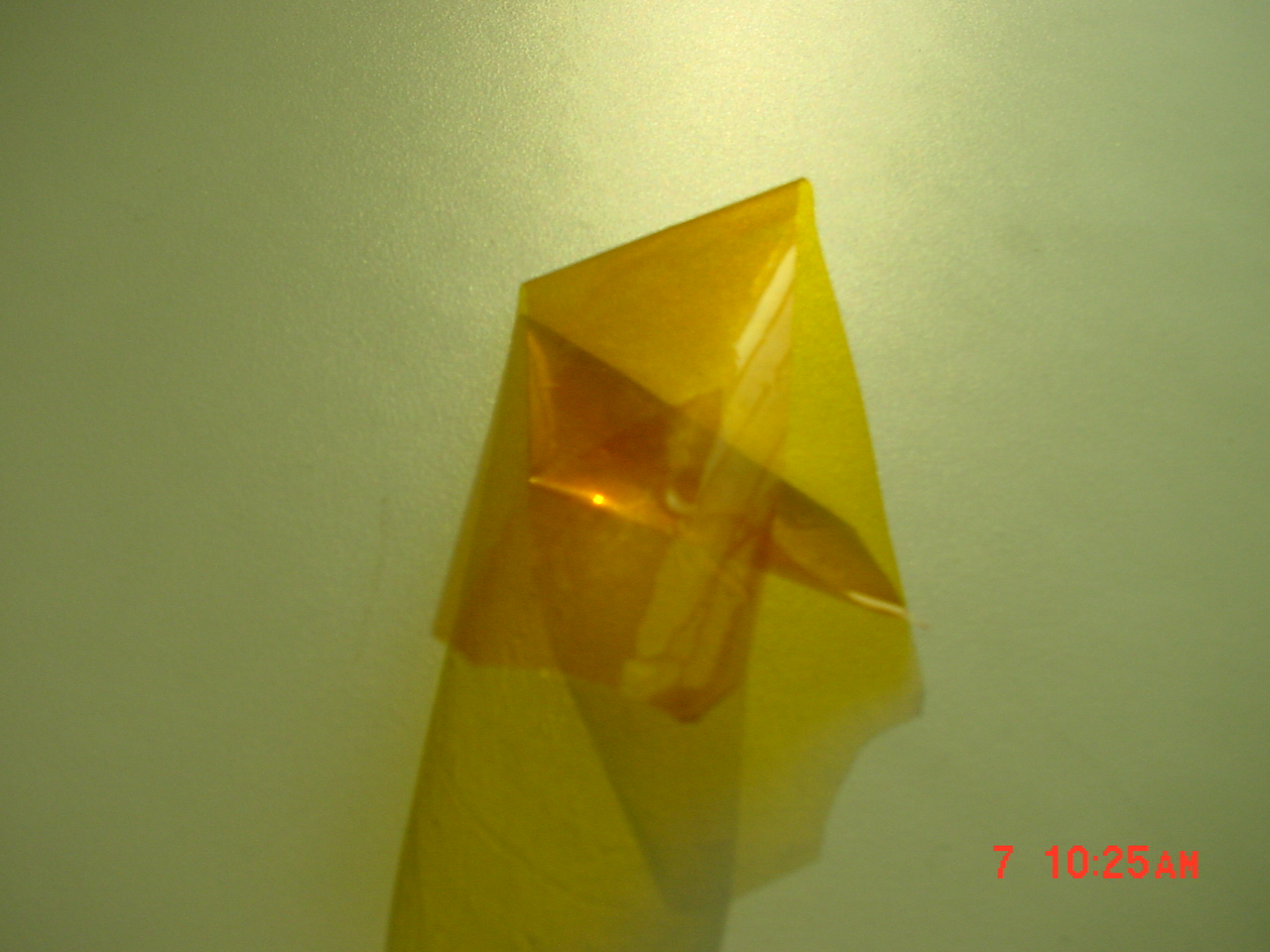 DSC00002.JPG