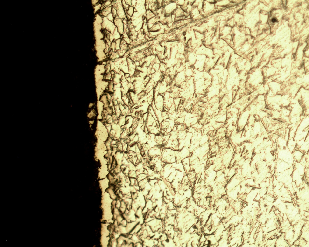 Pict1.JPG