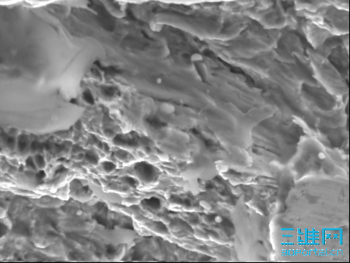 ���Ա��δ���ƣ��������˨