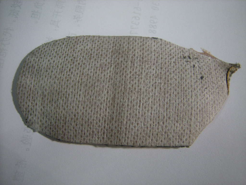 DSCN3463.jpg