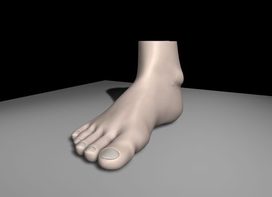 foot.jpg