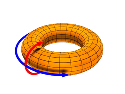 250px-Toroidal_coord.jpg