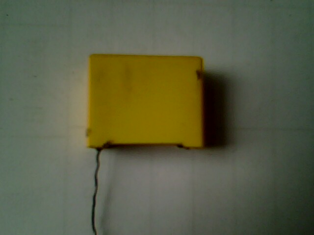 ����ֻ�ŵ�Ŀǰ�ϵ���һֻ