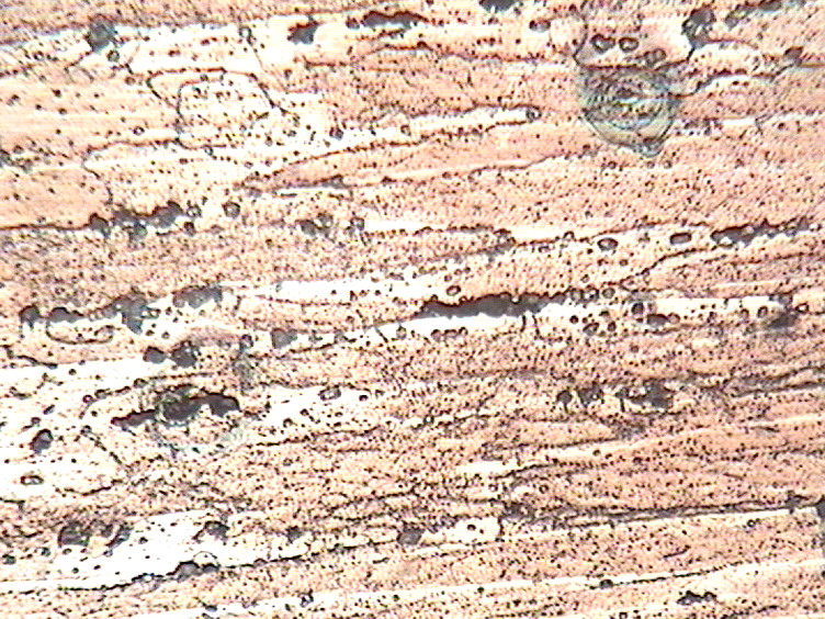 1#  LC4����,470����� 400X.JPG