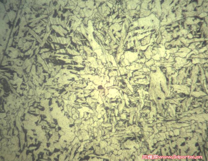 ��Ӱ������������