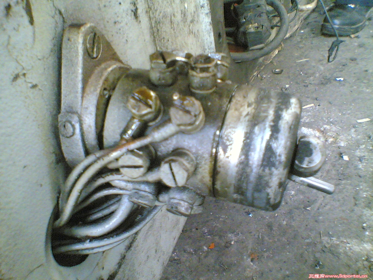20110326(006).jpg
