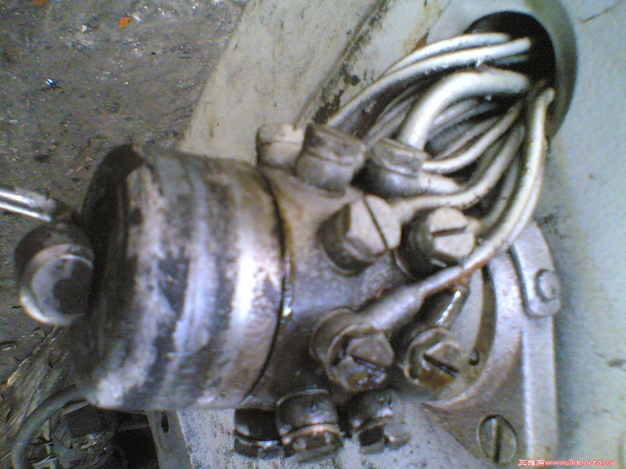 20110326(005).jpg